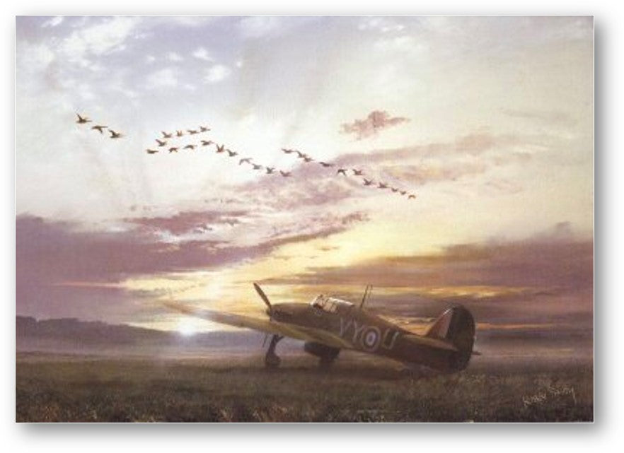 The Fly Past <br>by Robin Smith